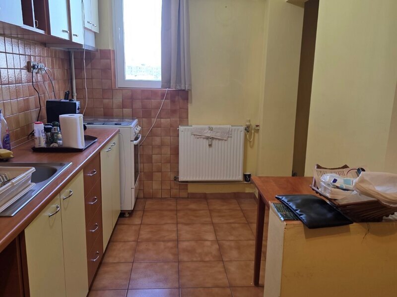 Dristor, 10 minute metrou si parc IOR, stradal pe Camil Ressu, vedere spate